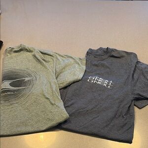 O'Neill Heather Gray T-Shirt Duo